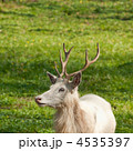 4535397