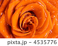 4535776