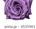 4535901