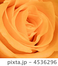 4536296
