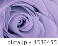 4536455