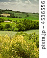 Typical Tuscan landscape