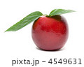 4549631
