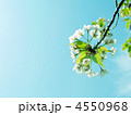 4550968
