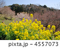 八王子　北野町
