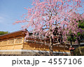 八王子　永林寺