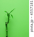 4557181