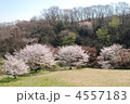八王子　長沼公園