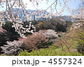 多摩丘陵　長沼公園