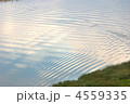 4559335