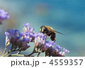 4559357