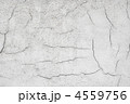 4559756