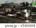 4560008