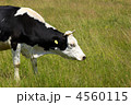 4560115