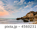 4560231