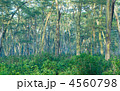 4560798