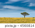 4560814