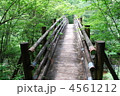 藤河内渓谷