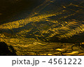 4561222