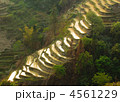 4561229