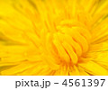 4561397