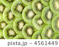 4561449