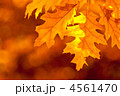 4561470