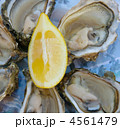 4561479