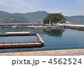つくみイルカ島