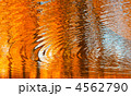 4562790