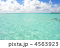 大金久海岸・百合ヶ浜（与論島）