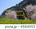 春のいすみ鉄道沿線