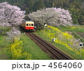 春の小湊鉄道・飯給（いたぶ）駅・桜満開