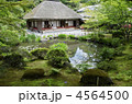 円通院の庭