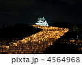 大阪城「城灯りの景」