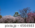 大阪城西の丸庭園の桜