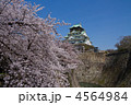 大阪城西の丸庭園の桜