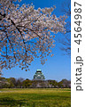 大阪城西の丸庭園の桜