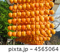 干し柿 干し柿