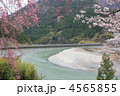 伊那小沢の春