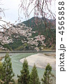 伊那小沢の春