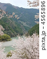 春の平岡