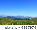 霧ヶ峰高原