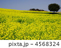 4568324
