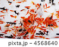 金魚すくい