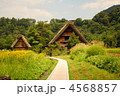 夏の白川郷