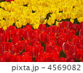 4569082