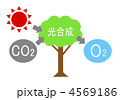 光合成
