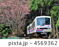 叡山電鉄　叡電　山桜　春　852　鞍馬