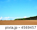 5月の畑